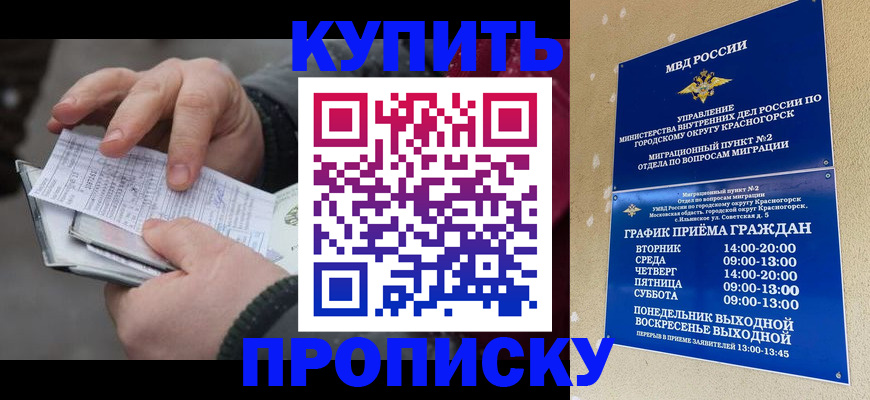 временная регистрация недорого в Новомичуринске